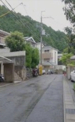 周家日常3h父子结局解析小说阅读封面